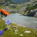 Lac glaciar 19